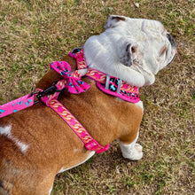 ✨NEW✨ “Pretty Wild “ 🐆⛓🎀 Bulldog Adjustable Harness ✨Bulldog Collection ✨