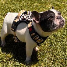 ✨JUST ARRIVED ✨ “DIAMOND HEIST” Designer No Pull Harness
