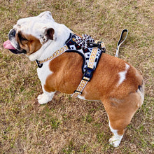 ✨JUST ARRIVED ✨ “DIAMOND HEIST” Designer No Pull Harness