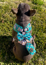 “Born Boujee” The Posh Poop Bag Holder & AirTag Case.