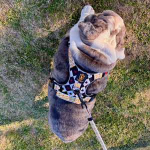 ✨JUST ARRIVED ✨ “DIAMOND HEIST” Designer No Pull Harness