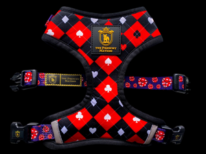 ✨NEW ARRIVAL ✨ “What Happens In Vegas” Puppy Adjustable Harness