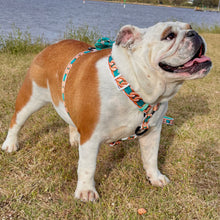 ✨NEW ARRIVAL ✨ “Breakfast At Wiffany’s⛓  chain strap harness