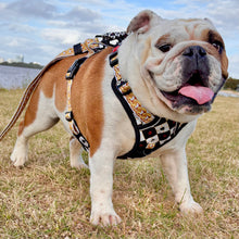 ✨JUST ARRIVED ✨ “DIAMOND HEIST” Designer No Pull Harness