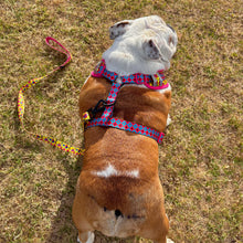 ✨NEW✨ “Queen of hearts “ Bulldog Adjustable Harness ✨Bulldog Collection ✨