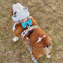 ✨NEW ARRIVAL ✨ “Breakfast At Wiffany’s⛓  chain strap harness