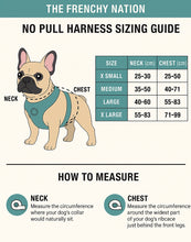 ✨JUST ARRIVED ✨ “DIAMOND HEIST” Designer No Pull Harness