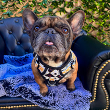 ✨JUST ARRIVED ✨ “DIAMOND HEIST” Designer No Pull Harness