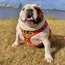 ✨NEW✨ “Queen of hearts “ Bulldog Adjustable Harness ✨Bulldog Collection ✨