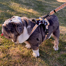 ✨JUST ARRIVED ✨ “DIAMOND HEIST” Designer No Pull Harness
