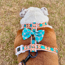 ✨NEW ARRIVAL ✨ “Breakfast At Wiffany’s⛓  chain strap harness