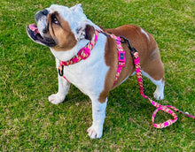 “Pretty Wild  “ Gold Chain Black Strap Harness 🐆⛓🎀