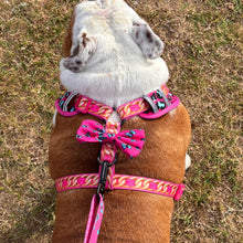 ✨NEW✨ “Pretty Wild “ 🐆⛓🎀 Bulldog Adjustable Harness ✨Bulldog Collection ✨