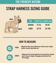 ✨NEW ARRIVAL ✨ “RockStar “⛓ Black chain strap harness