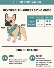 🔥NEW🔥 “ Heartbreaker” Luxury Reversible Harness