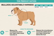 ✨NEW✨ “Pretty Wild “ 🐆⛓🎀 Bulldog Adjustable Harness ✨Bulldog Collection ✨