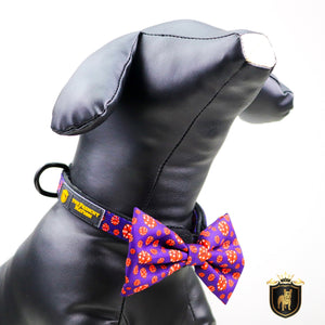 "What happens in Vegas"  Collar & Bow Tie