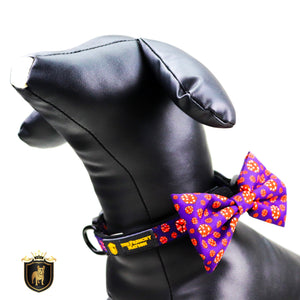 "What happens in Vegas"  Collar & Bow Tie