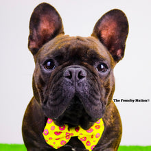 "Donut Life"  Collar & Bow Tie