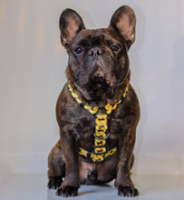 ✨NEW ✨ “King of Farts “ Gold Chain Strap harness  👑⚔️⛓💨