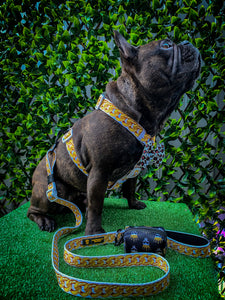 ✨NEW ARRIVAL ✨ “I’m Rich B”⛓ Gold chain strap harness