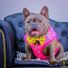 "Donut Life"  Collar & Bow Tie