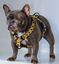 ✨NEW ✨ “King of Farts “ Gold Chain Strap harness  👑⚔️⛓💨