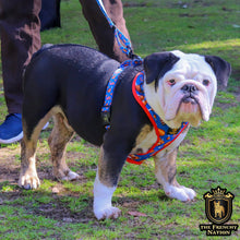 “Finger Licking Good"  Adjustable Harness ✨Bulldog collection ✨