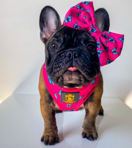 🔥NEW ARRIVAL 🔥 “FABULOUS DARLING” 🎀💕Puppy Adjustable Harness