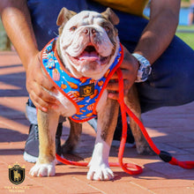 “Finger Licking Good"  Adjustable Harness ✨Bulldog collection ✨
