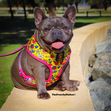 🔥NEW ARRIVAL🔥 “Queen of hearts  “👑💕 Luxury Reversible Harness