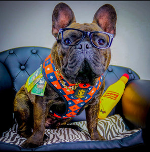 French bulldog reversible harness on sale