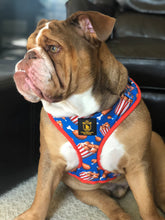 “Finger Licking Good"  Adjustable Harness ✨Bulldog collection ✨