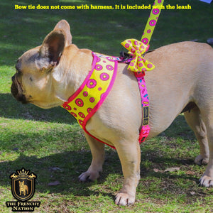 ✨New✨ “Donut life” Adjustable leash