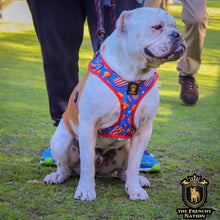 “Finger Licking Good"  Adjustable Harness ✨Bulldog collection ✨