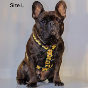 ✨NEW ✨ “King of Farts “ Gold Chain Strap harness  👑⚔️⛓💨