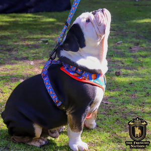 ✨New✨ “Finger licking good” Adjustable leash