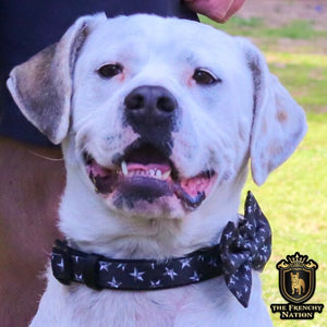 “Rockstar ” Collar With Bow Tie