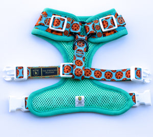 🔥NEW ARRIVAL🔥 “Milk & Cookies”🐄 Puppy Adjustable Harness