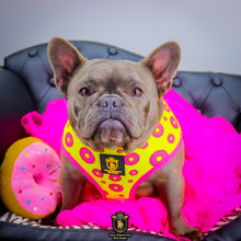 "Donut Life" Reversible Harness