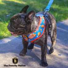 "Finger Licking Good" Reversible Harness