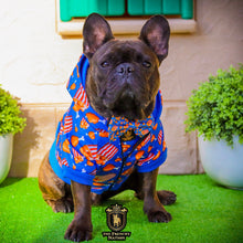 "Finger Licking Good" Reversible Harness