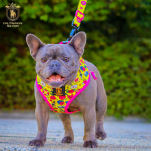 🔥NEW ARRIVAL🔥 “Queen of hearts  “👑💕 Luxury Reversible Harness