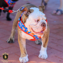 “Finger Licking Good"  Adjustable Harness ✨Bulldog collection ✨