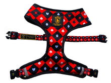 🔥NEW ARRIVAL🔥 “What Happens In Vegas” Luxury Reversible Harness