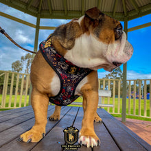 ✨NEW✨ “King of farts “ Bulldog Adjustable Harness ✨Bulldog Collection ✨