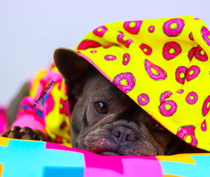 "Donut Life" Hoodie