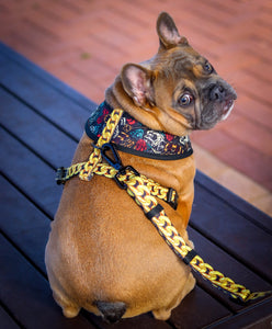 ✨NEW ARRIVAL ✨ “King of Farts ” Crown Edition Gold Chain Adjustable leash