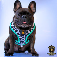 “Milk & Cookies” Reversible Harness