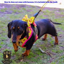 ✨New✨ “Donut life” Adjustable leash